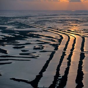 Meet your Posher, Chad